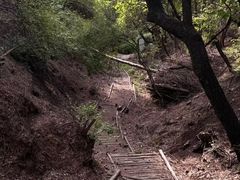 -嵖岈山风景区
