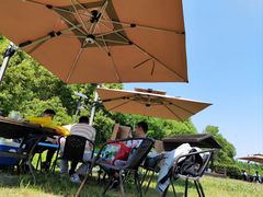 -田园东方蜜桃村的田野营地