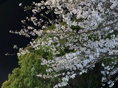 -杨高南路(地铁站)