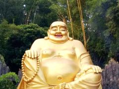 -东莞市大岭山森林公园