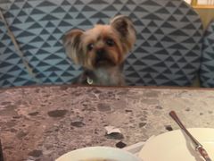 -芭莉与彩虹西餐厅(成都合生汇店)