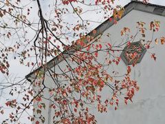 -老门东历史文化街区