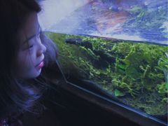 -懒鱼时光馆(沙坪坝店)