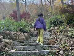 -潜山国家森林公园