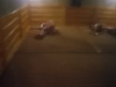 -汤W城市微度假(仓山店)