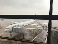 -上海浦东国际机场-T2航站楼
