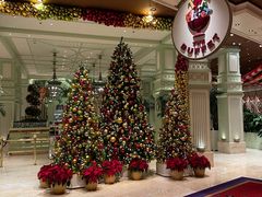 -拉斯维加斯永利酒店