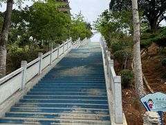 -清溪大王山森林公园