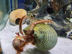 -太平洋海底世界