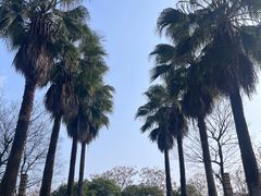 -三江森林温泉度假区