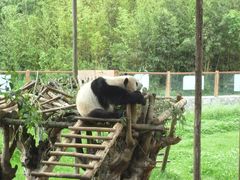 -云南野生动物园