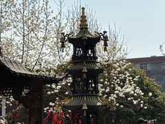 -长春观
