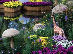 -上海共青森林公园