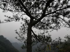 -永康小长城