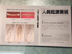 -四川大学博物馆