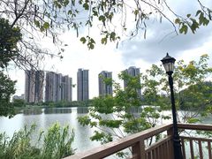 -广东花都湖国家湿地公园