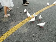 -燕塞湖鸟语林景区