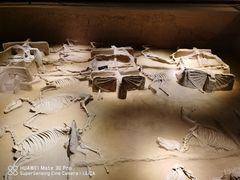 -洛阳周王城天子驾六博物馆