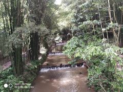 -川西竹海景区