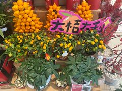 -合肥蜀山万象汇
