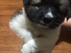 -兔行天下-鸿鹤鲜锅兔(中海国际店)