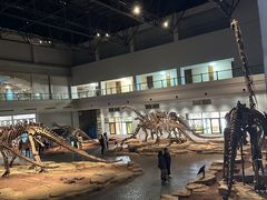 -自贡恐龙博物馆