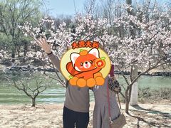 -大兴滨河森林公园