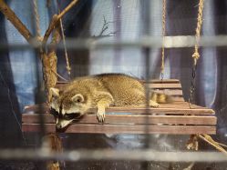 点击看大图 -酷嗒动物文化乐园(cutezoo西溪乐天城店)