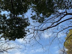 -常熟方塔园