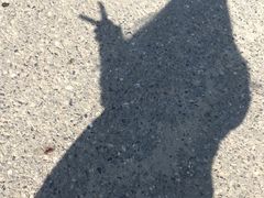 -周黑鸭(武汉汉阳区江城大道永旺店)