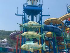 -平湖九龙山乐满地水上乐园