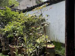 -院子餐厅·大锅菜·老杭帮(桥西直街店)
