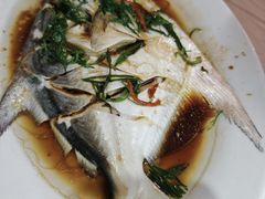 -老三鱼仔店