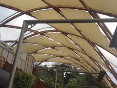 -怀托摩萤火虫洞