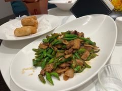 -四季春
