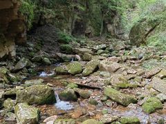 -五女峰国家森林公园