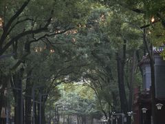 -四川大学(望江校区)