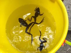 -碓臼峪自然风景区