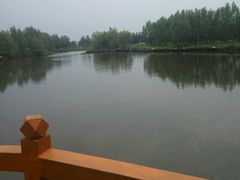 -白渔泡湿地公园