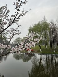 -玄武湖景区-情侣园游乐场