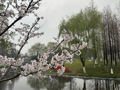 -玄武湖景区-情侣园游乐场