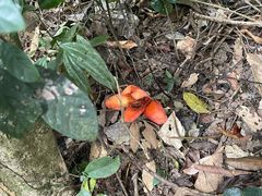 -七仙岭温泉国家森林公园