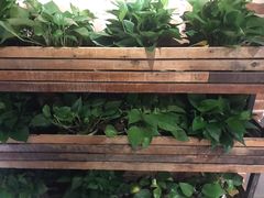 -辛香汇(大华第一坊店)