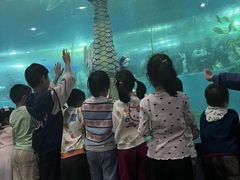 -苏州海洋馆