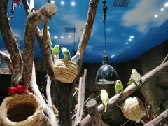 -zoonana室内动物园(东方福来德店)
