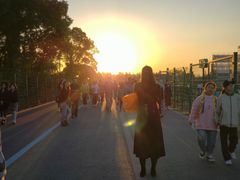 -上海国际音乐村