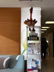 -杭州贝瑞斯美华妇儿医院·早孕·产检·儿科