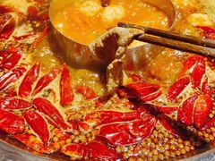 -谭鸭血老火锅(远大购物广场店)