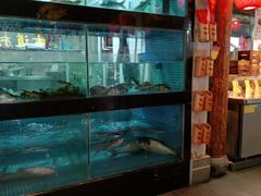 水产区-古道村落(温汤店)