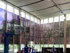 -东方启明星篮球培训(泛海校区)